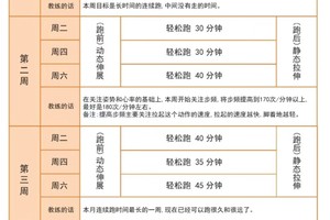 如何制定适合中锋的个性化训练计划:专业指南与实战策略